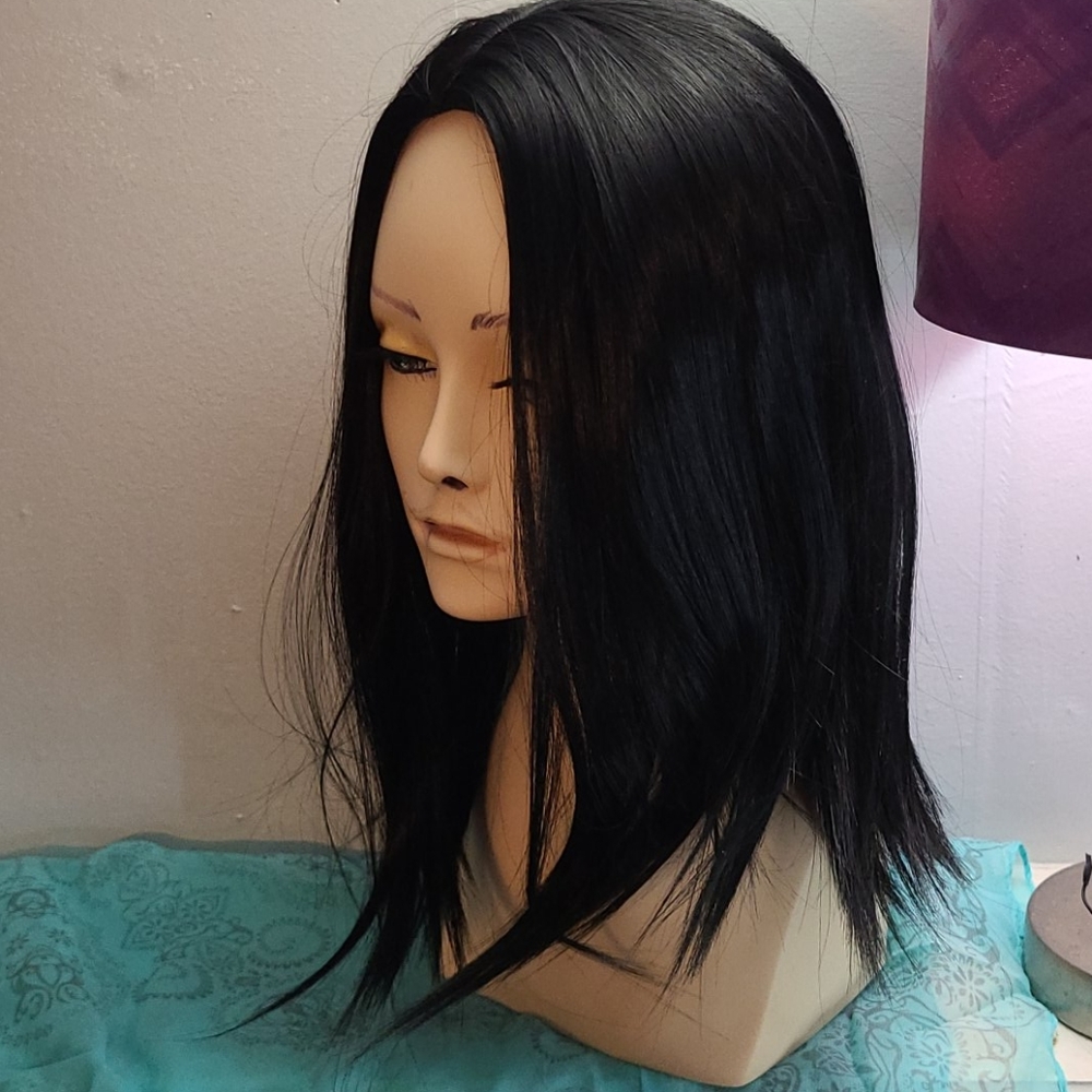 Black Shiny Straight Hair Wig Adj. Lace